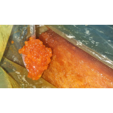 Ікра горбуші Trident Seafoods Америка Аляска