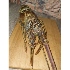 Омари