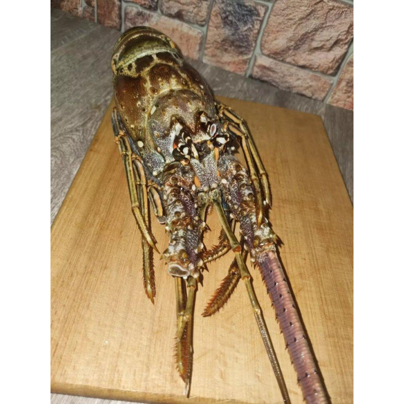 Омари