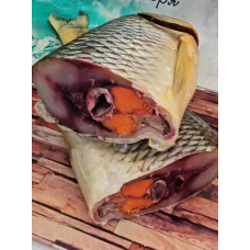 Кутум риба