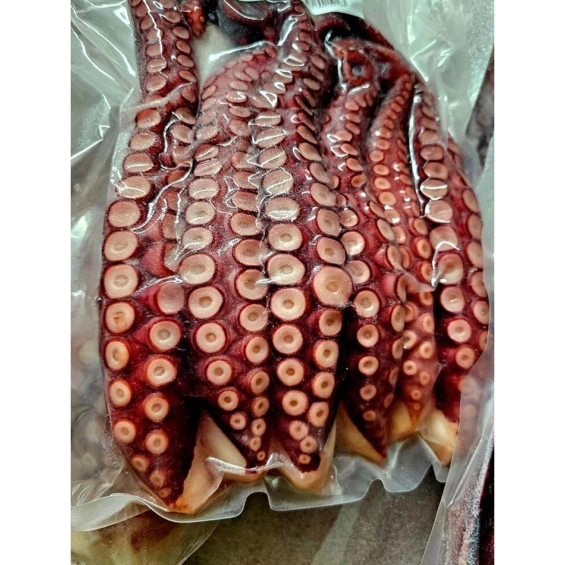 Восьминог щупальця варено морожені