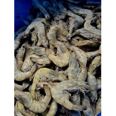 Криветки тигрові з головою 30/40 шт/кг Еквадор
