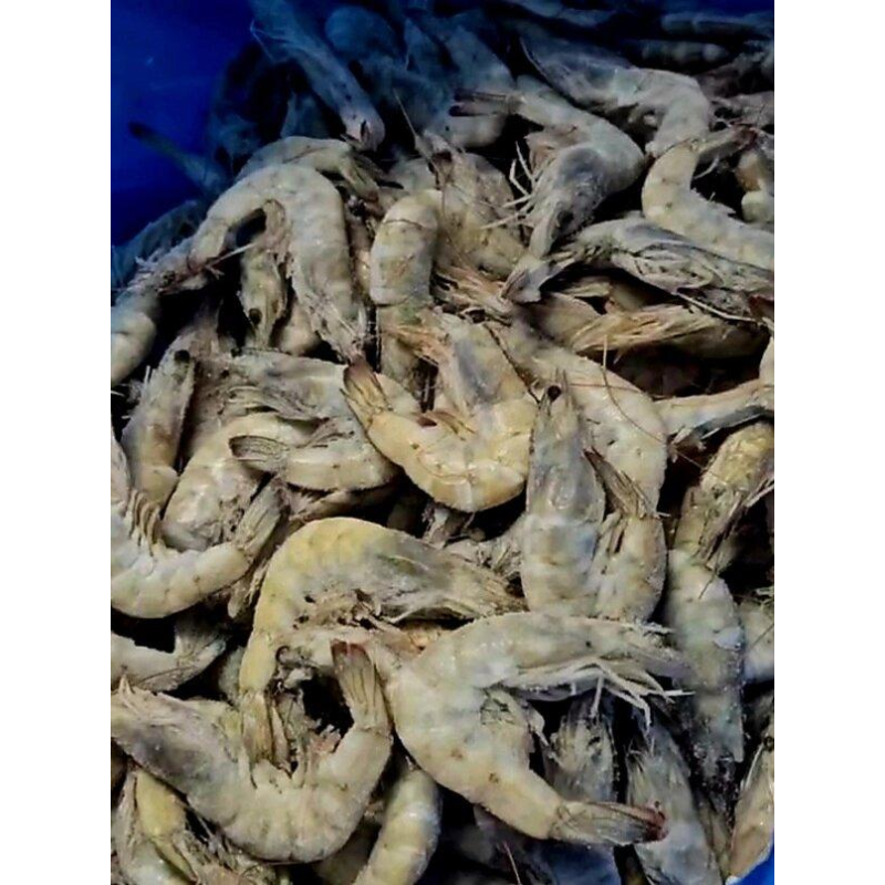 Криветки тигрові з головою 30/40 шт/кг Еквадор